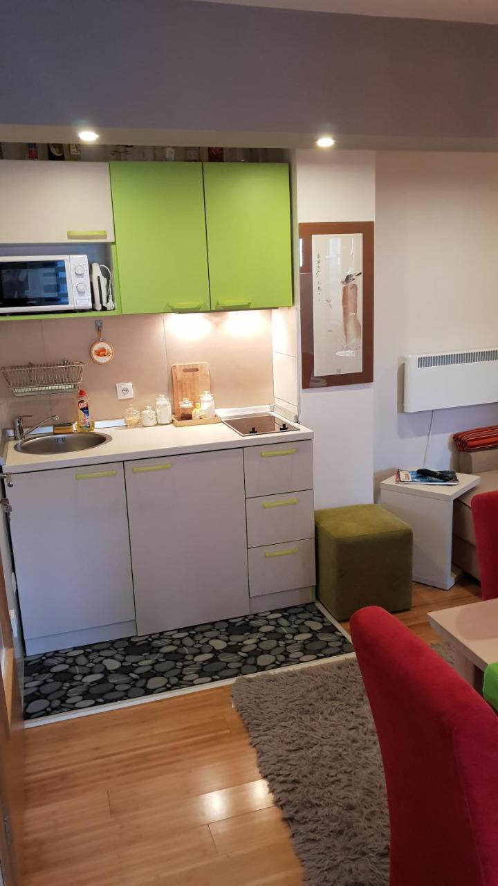 Apartman Konak 23-4 Zlatibor Dış mekan fotoğraf
