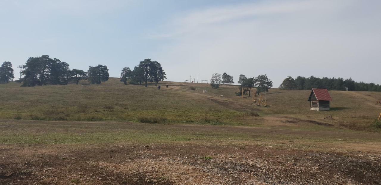 Apartman Konak 23-4 Zlatibor Dış mekan fotoğraf